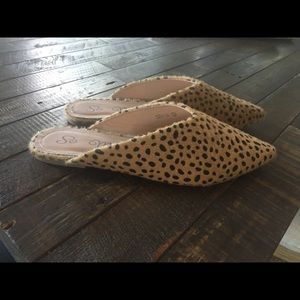 Darling animal print mules!